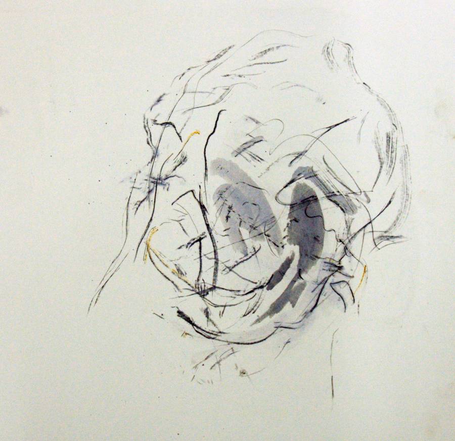 30x35cm, Head, 2013 30x35cm, Head, 2013