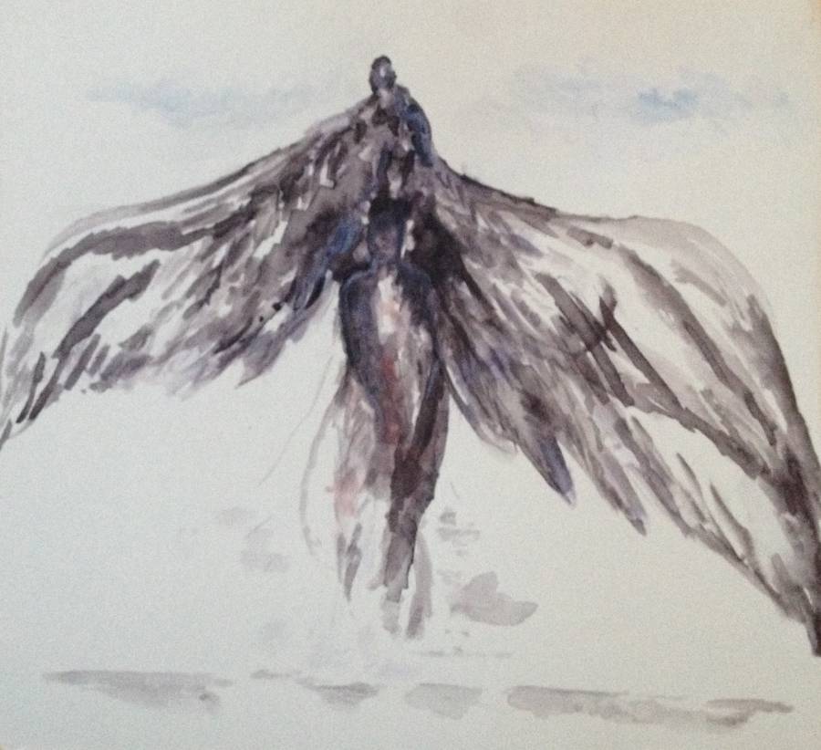 seelenvogel_23x26cm_2020_aquarelle.jpg seelenvogel_23x26cm_2020_aquarelle.jpg
